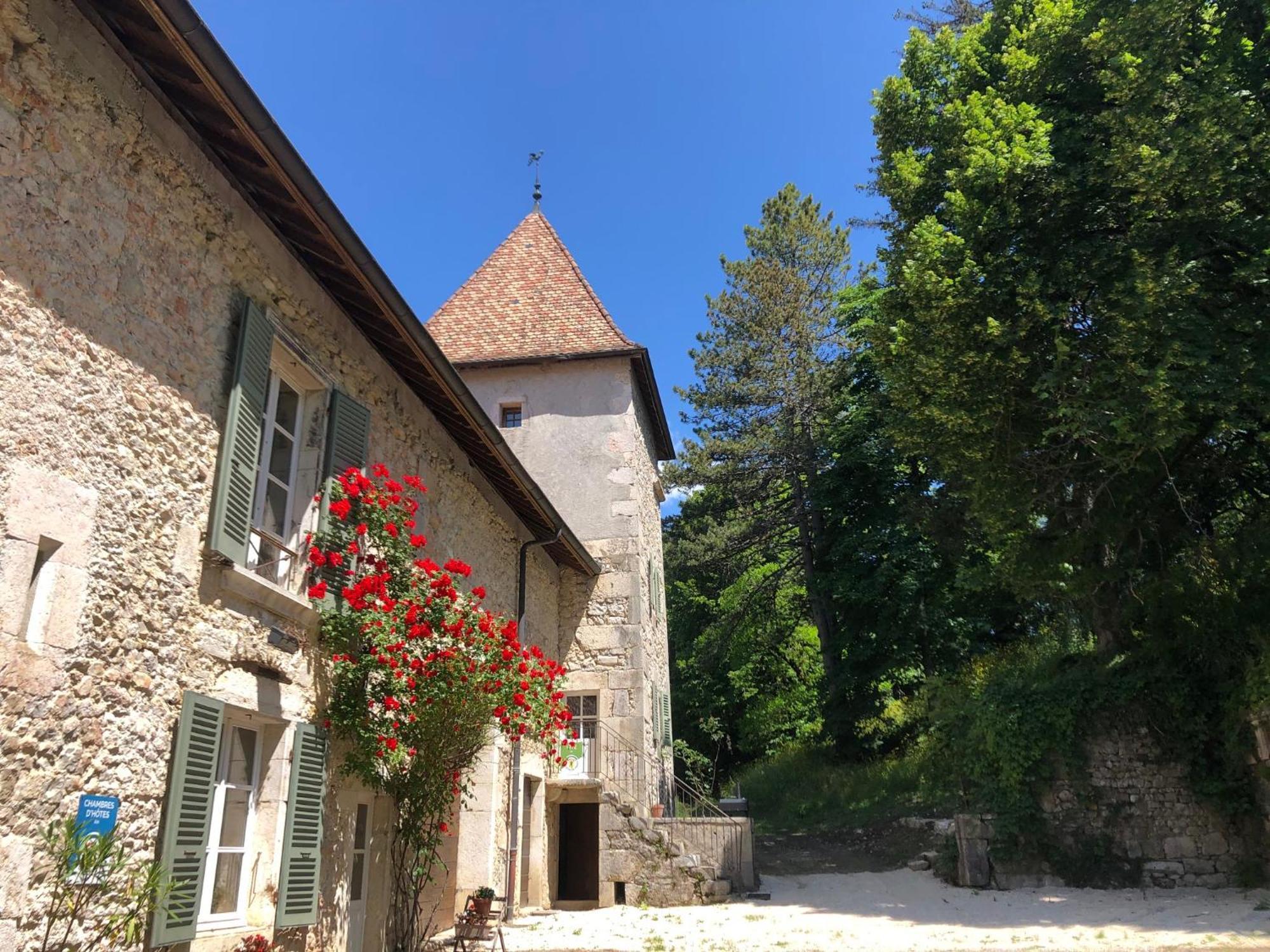 Domaine Du Tres-Haut - Chateau De Montanges Ngoại thất bức ảnh